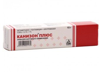Канизон плюс
