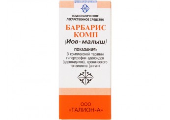 Барбарис комп / Иов-Малыш