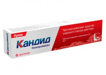 Кандид