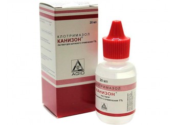 Канизон