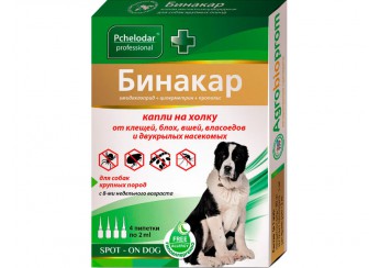 Бинакар