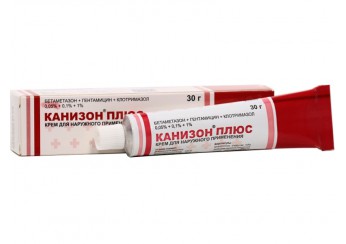Канизон плюс