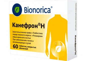 Канефрон Н