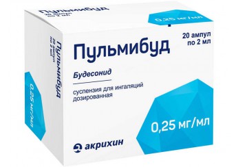 Пульмибуд