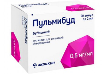 Пульмибуд
