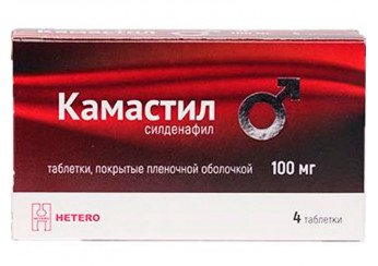 Камастил