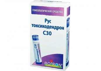 Токсикодендрон кверцифолиум (Рус токсикодендрон)