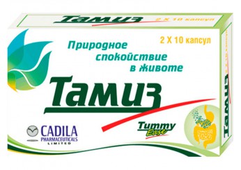 Тамиз