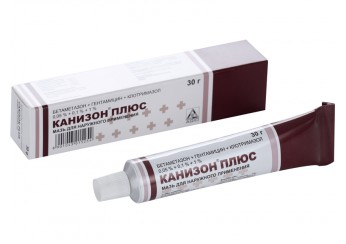 Канизон плюс