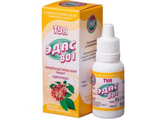 Туя Эдас 801