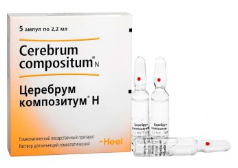 Церебрум композитум Н