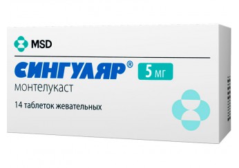 Сингуляр